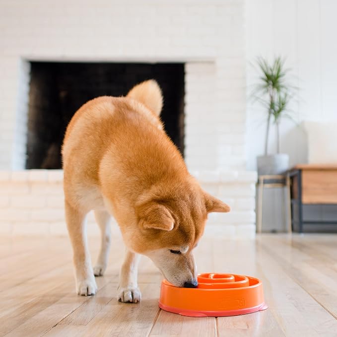 Outward Hound Fun Feeder Slow Bowl in Orange