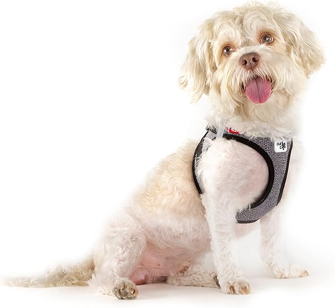 Vest Harness Merino curli Clasp Black L