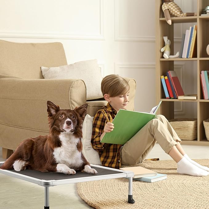 Veehoo Cooling Outdoor Elevated Dog Bed