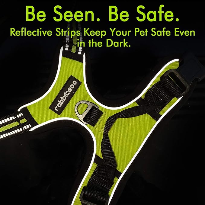 rabbitgoo Dog Harness 2 Leash