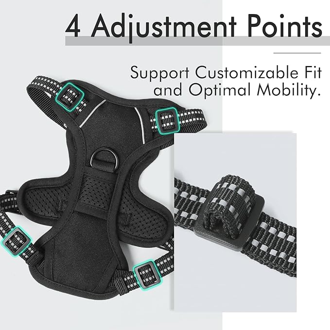 rabbitgoo Dog Harness 2 Leash