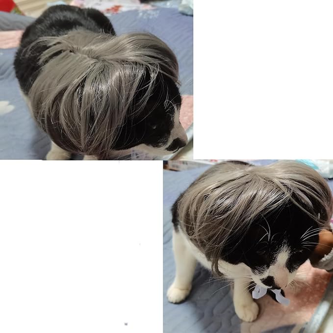 Funny Dog Cat Cosplay Wig