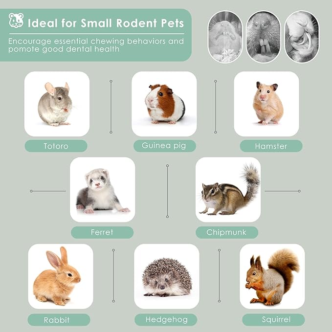 Bissap Sweet Bamboo Chew Sticks for Rabbits 500g/1.1Ib