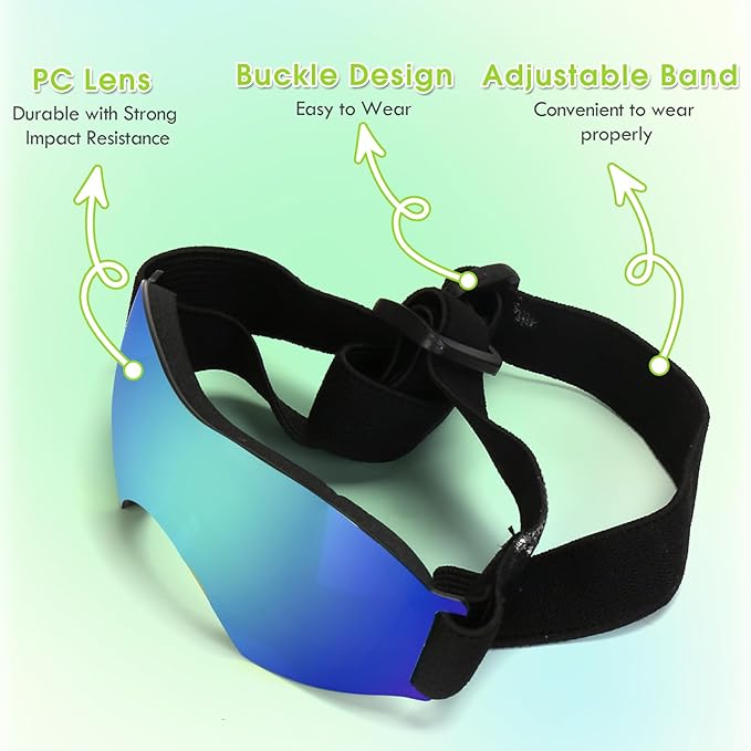 Small Dog Sunglasses