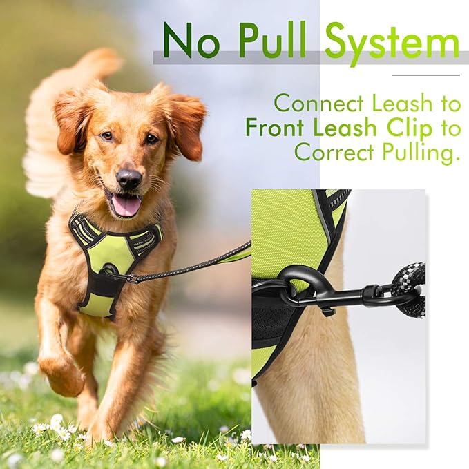 rabbitgoo Dog Harness 2 Leash