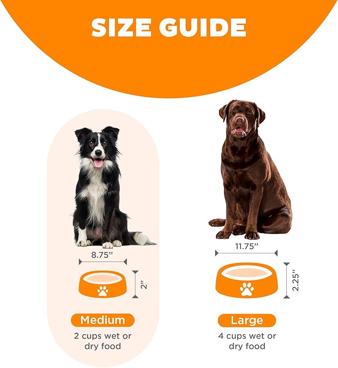 Outward Hound Fun Feeder Slow Bowl in Orange