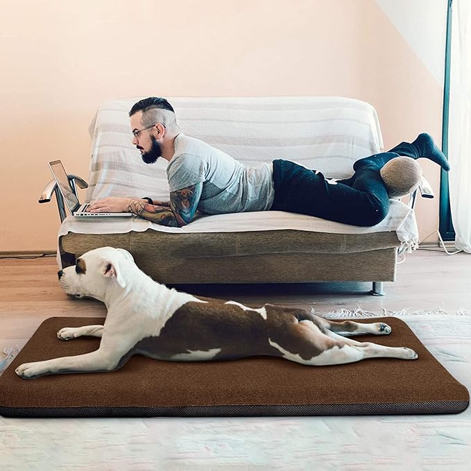 Panku Medium 30inch Dog Bed 29x18x2)