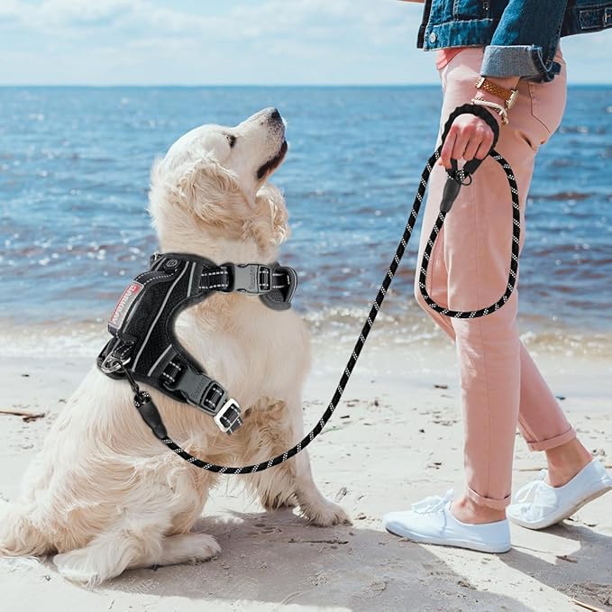 BARKBAY No Pull Dog Harness 3 Buckles Large Step in Reflective Dog Harness with Front Clip and Easy Control Handle for Walking Training Running with ID tag Pocket(Black