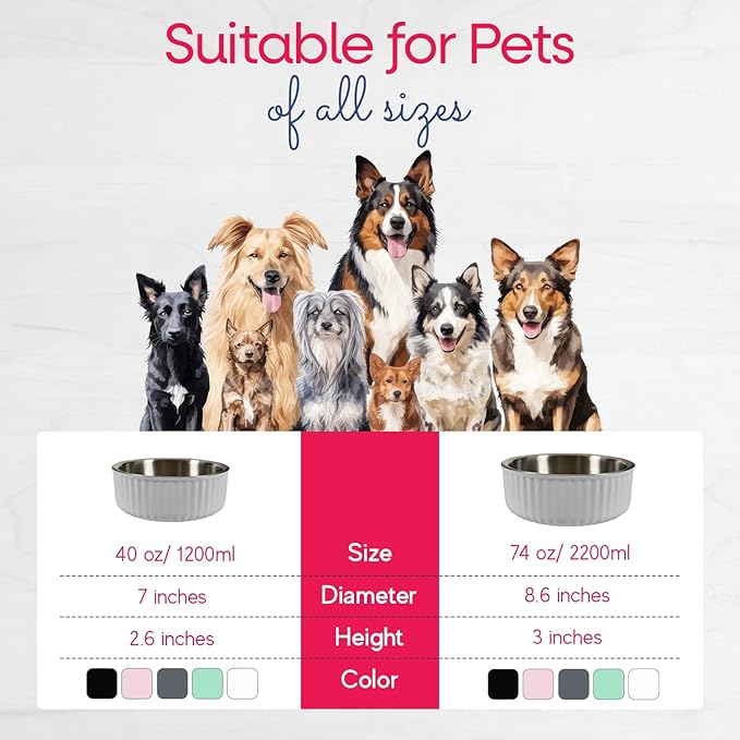 Stainless Steel Pet Bowl 40 Oz/1200ml)