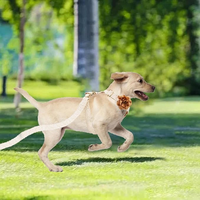 Female Dog Harness Leash Set for Large Dogs Cute Girl Dog Harness Soft Leather No Pull Dog Harness with Comfortable Padded Handle for Dog Wedding Birthday Outfit Easy Walking (White