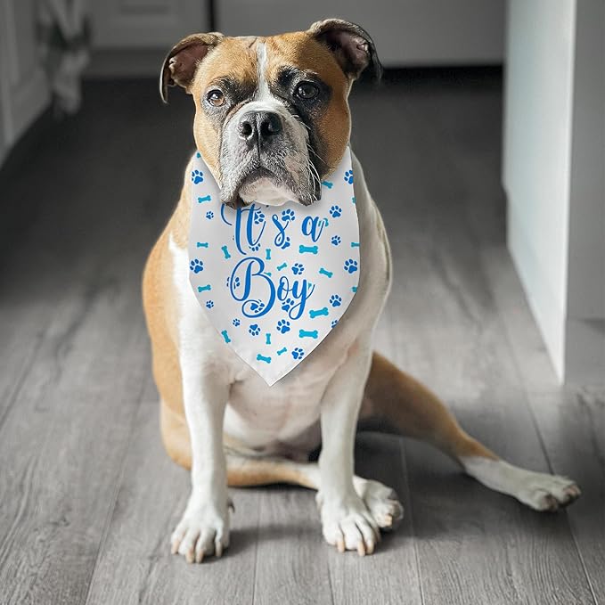 It's a Boy Dog Bandana Gender Reveal Dog