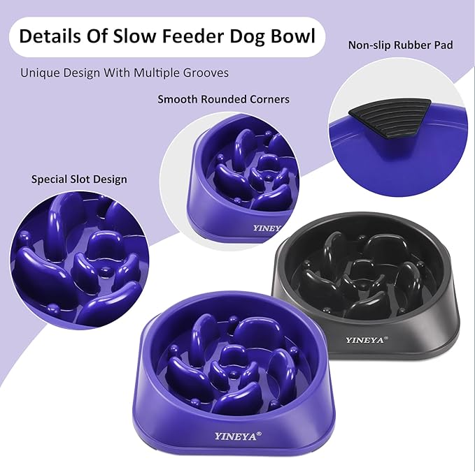 2Pcs Dog Puzzle Bowl Dog Feeder