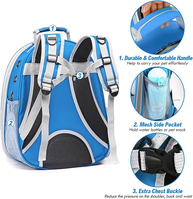Cat Backpack