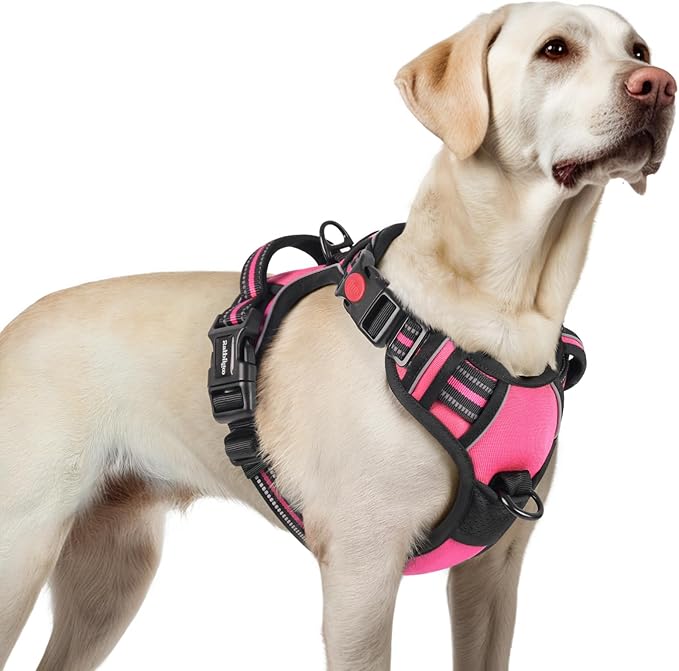 rabbitgoo Dog Harness for Large 3 Buckles,