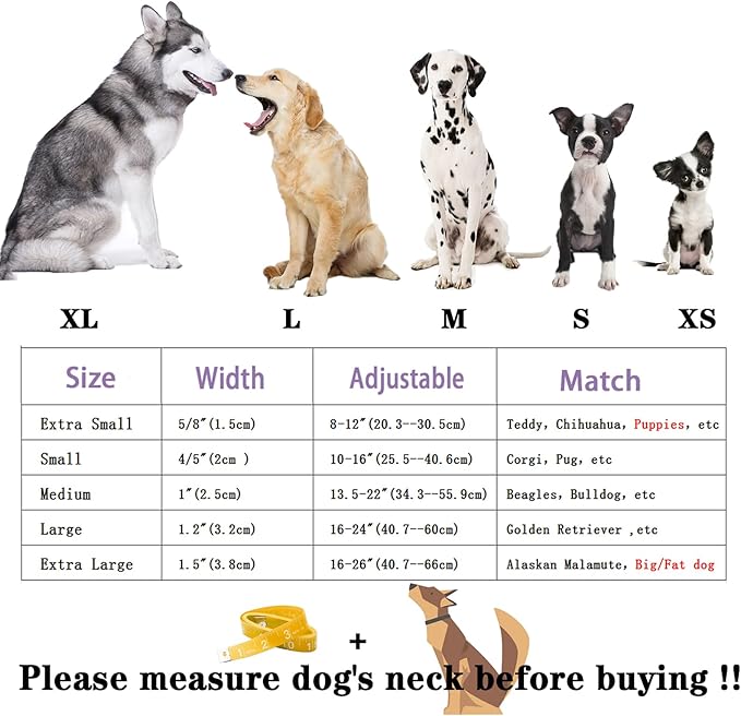 Unique Style Paws Summer Dog Collar