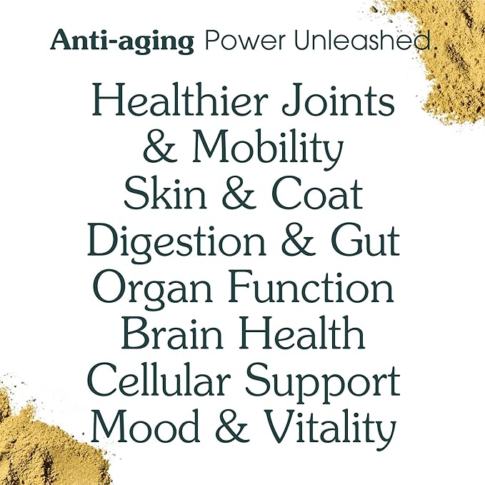 All-in-One Dog Supplement for Advanced Wellness & Longevity 46 Premium 2-7 Yrs, 4.9 oz
