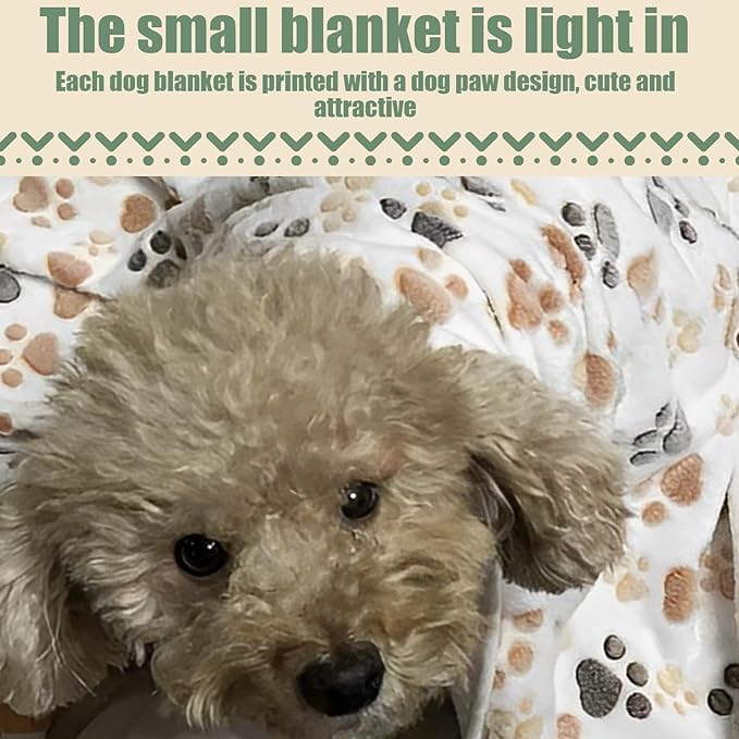 5 Pcs Pet Blankets 30"X20" Puppy