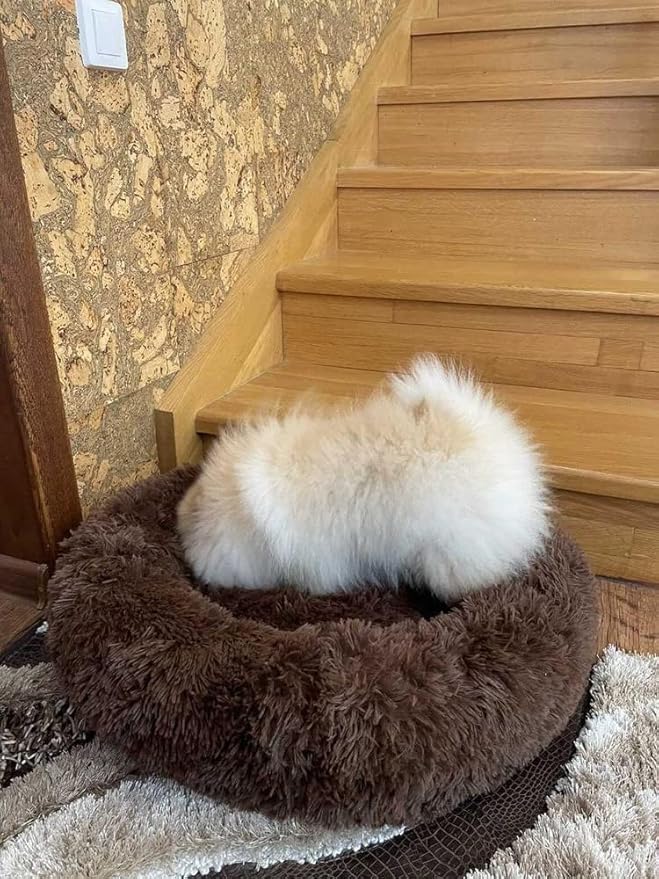 Geizire Cat Bed Dog Bed for Cats Bed(24'', Coffee)