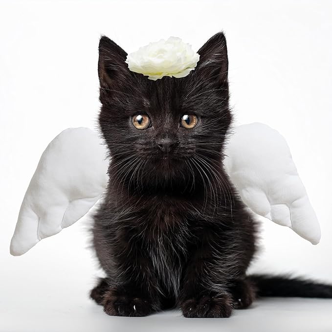 Pet Angel Wings and Headband Costume Accessory Set