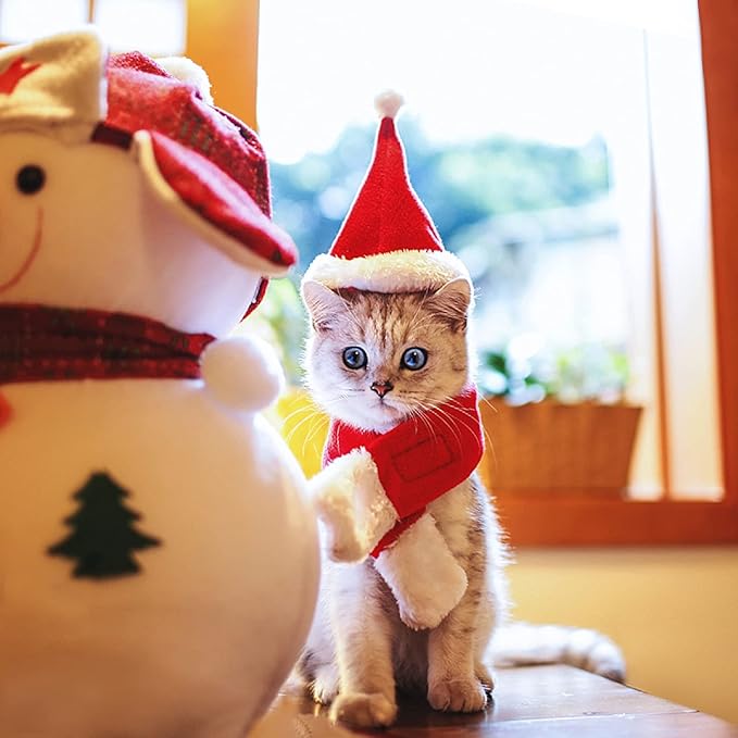 NAMSAN Cat Santa Hat Scarf Small Dog Christmas Costume Xmas Outfit Santa Claus Hat with Red Muffler for Kitten