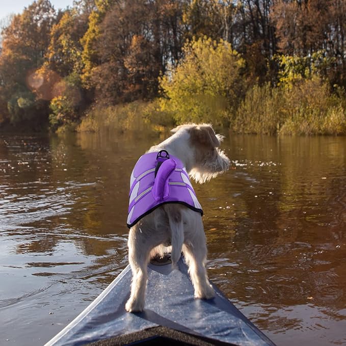 Queenmore Dog Life Jacket