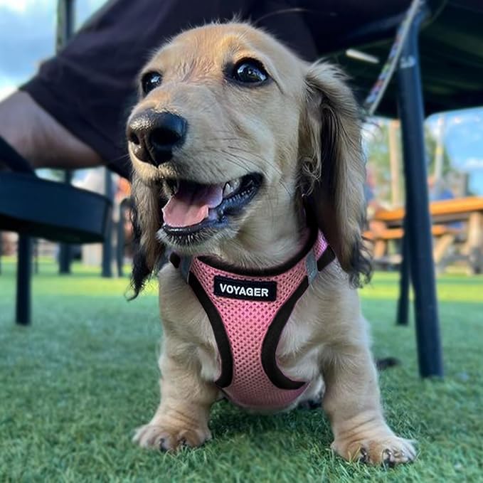 Voyager Step-in Air Dog Harness 16-18")