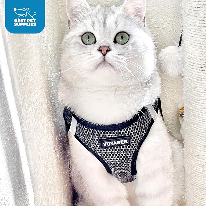 Voyager Step-in Air Dog Harness 2-Tone), L 18-20.5")