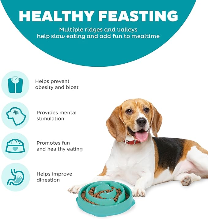 Outward Hound Fun Feeder Slo Bowl