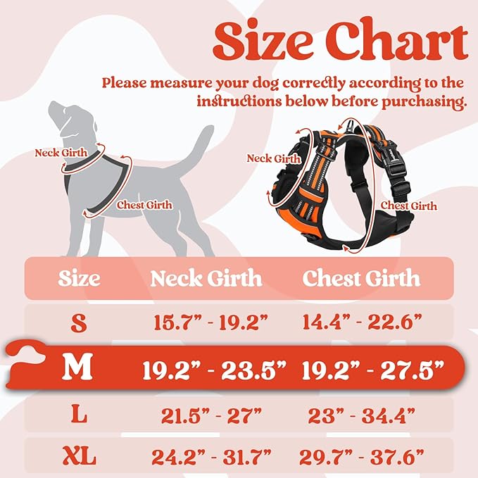rabbitgoo Dog Harness Medium Sized 3 Buckles,