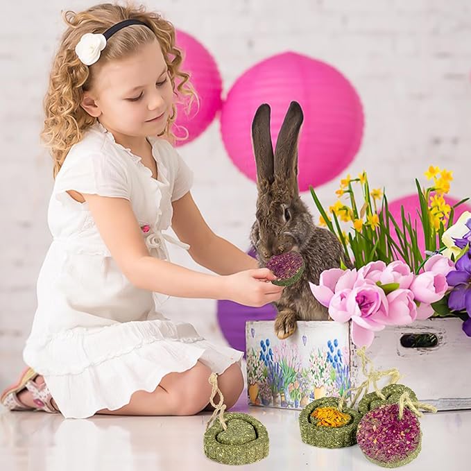 Sofier 18pcs Timothy Hay Treats Rabbit Toys Natural