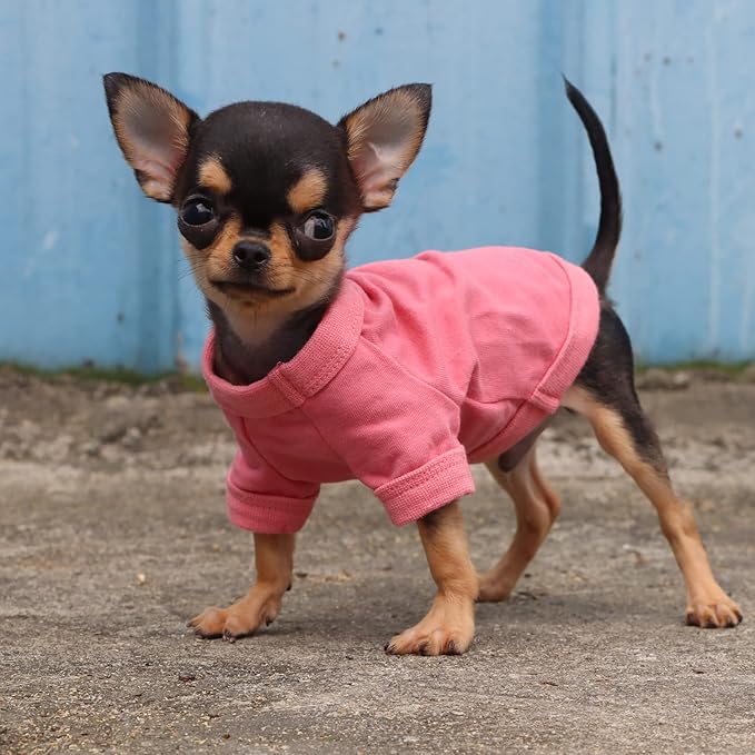 LOPHIPETS 100% Cotton Dog Tee Shirt for Small