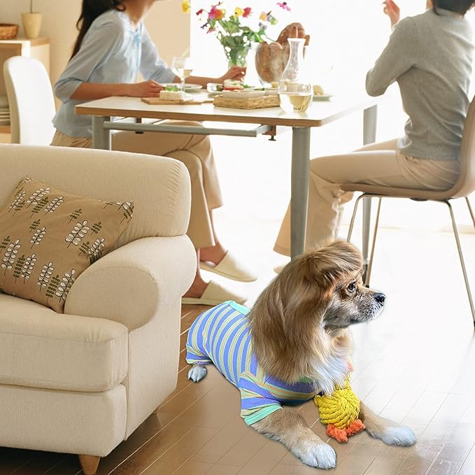 TONY HOBY Dog Pajamas 4 Legged