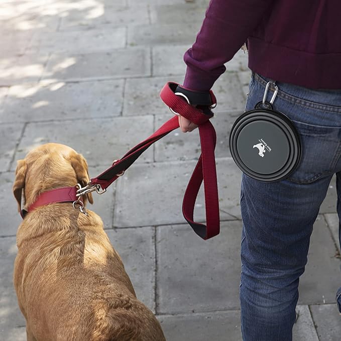 Collapsible Dog Bowls for Travel 2-Pack Dog 2 Carabiners,