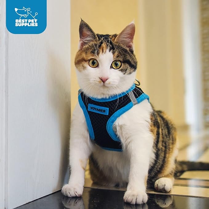 Voyager Step-in Air Dog Harness