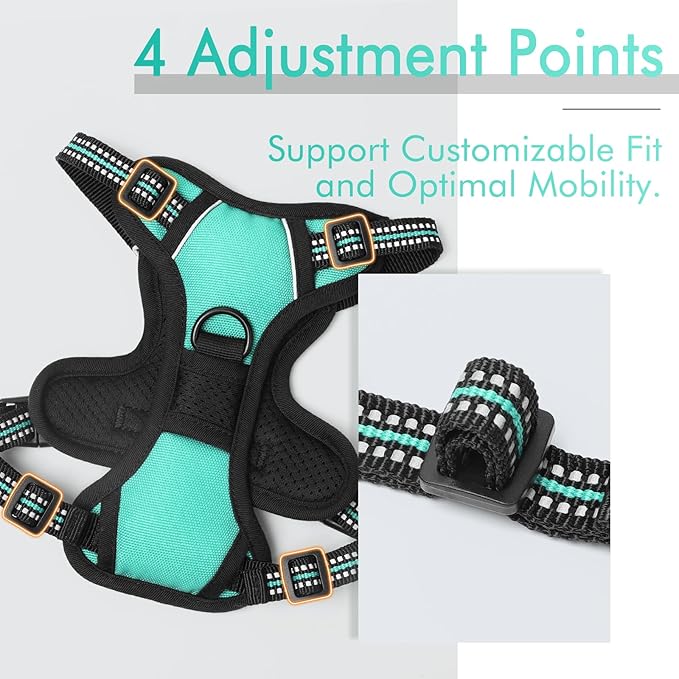 rabbitgoo Dog Harness 2 Leash