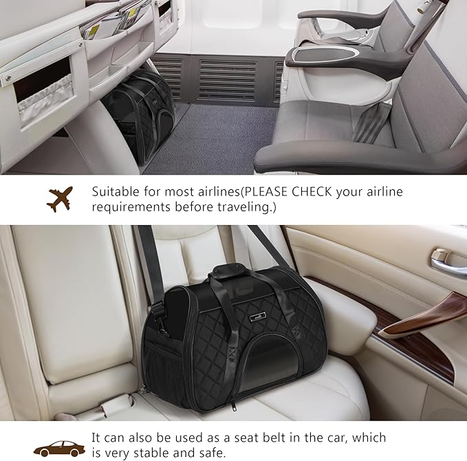 Pecute Cat Carrier Soft 10lbs (Black)