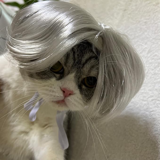 Funny Dog Cat Cosplay Wig