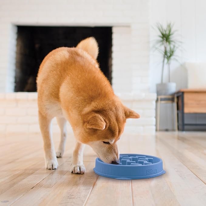 Outward Hound Fun Feeder Slo Bowl