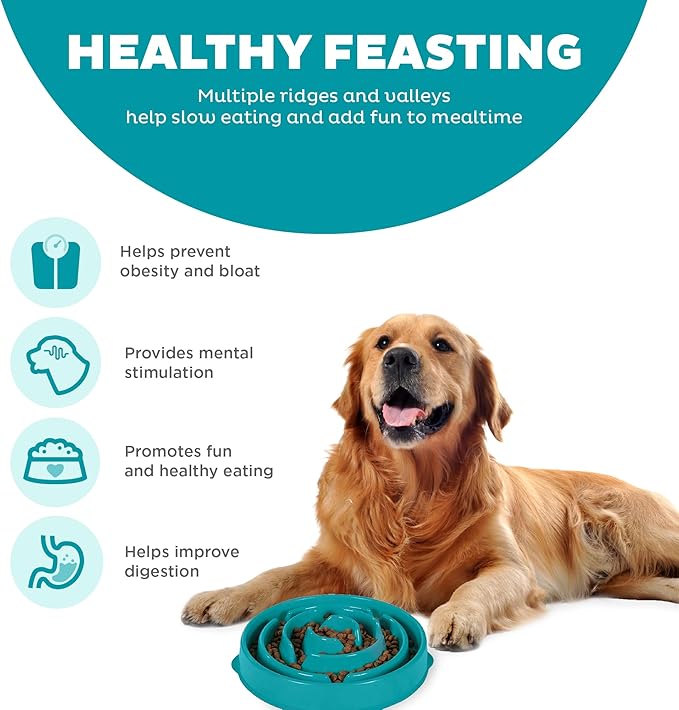 Outward Hound Fun Feeder Slo Bowl