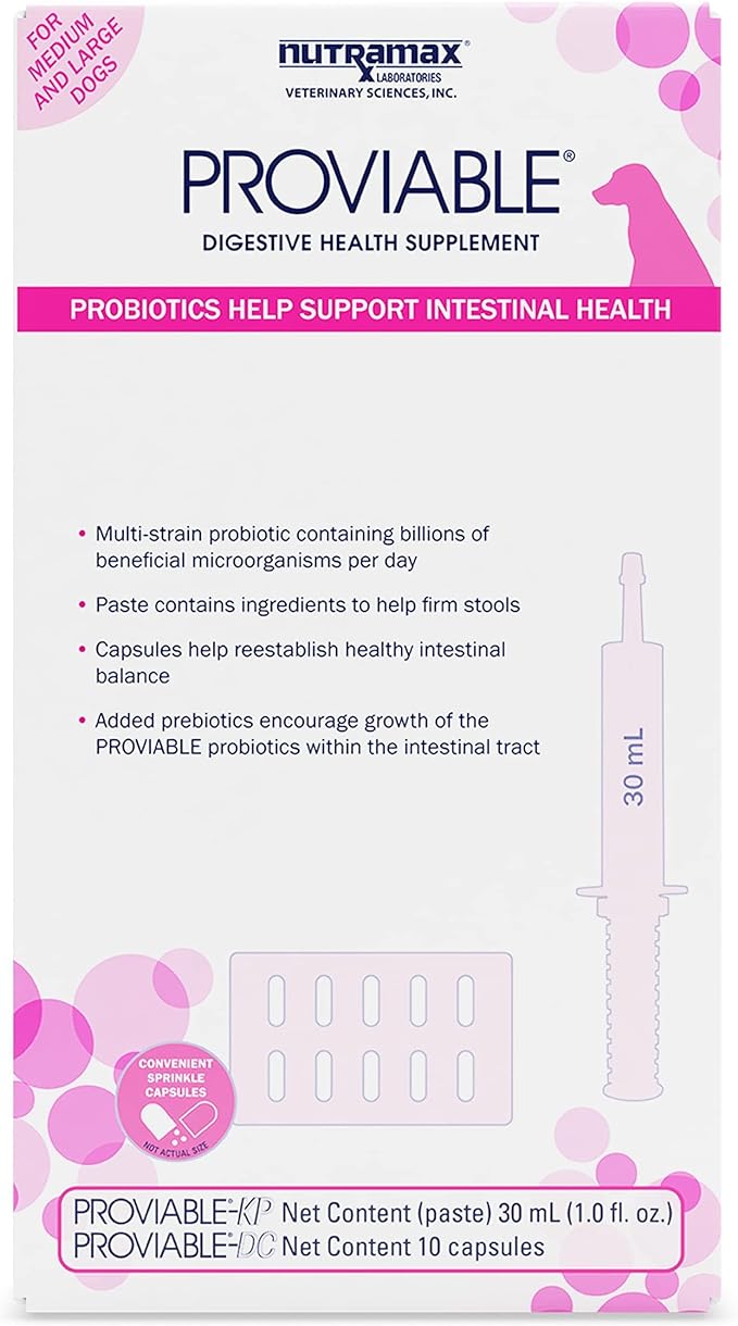 Proviable Digestive Health Supplement Kit with Multi-Strain Probiotics and Prebiotics for Medium to Large Dogs 7 Strains 30 mL 10 Capsules