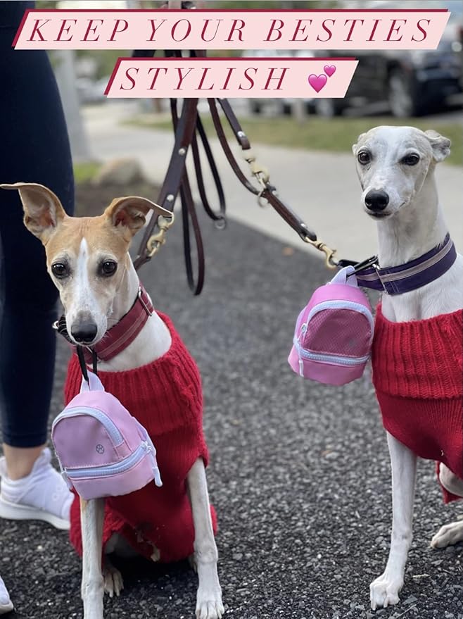 LLC Dog Backpack