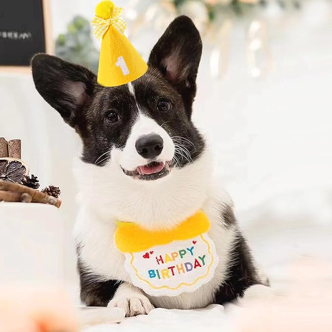 Dog Cat Birthday Party Supplies Outfit Bandana Bib