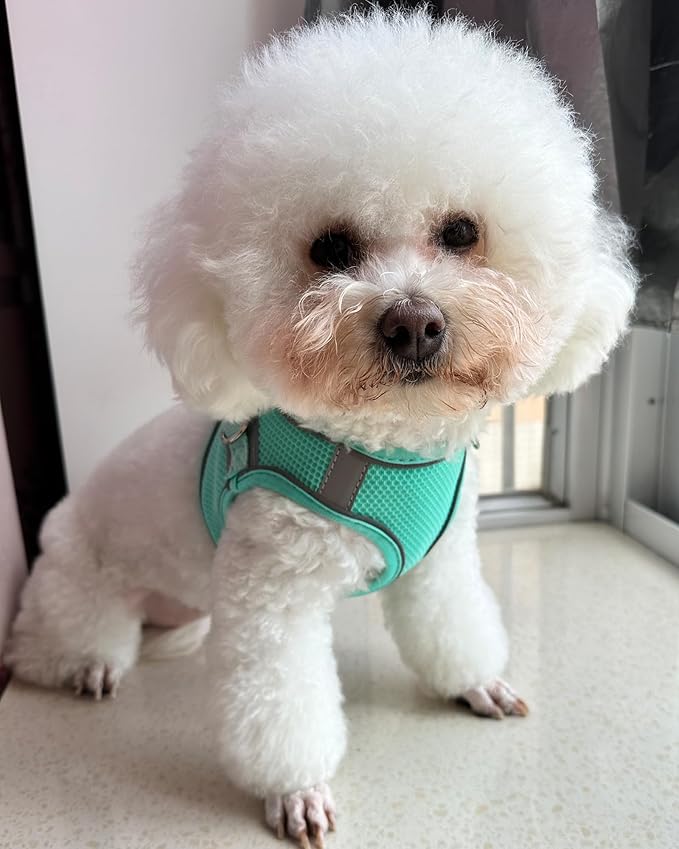 SOLMOONY Dog Harness (Medium