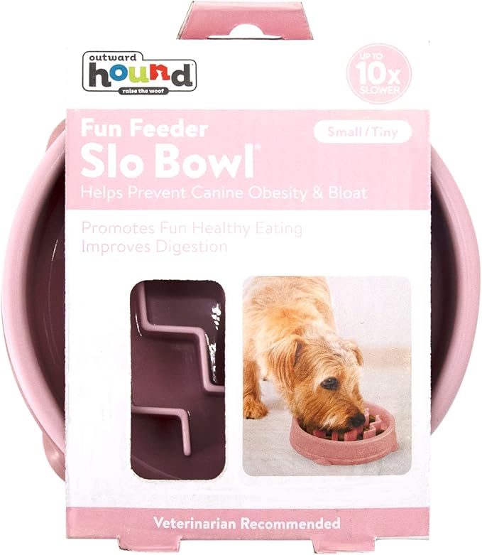 Outward Hound Fun Feeder Slo Bowl