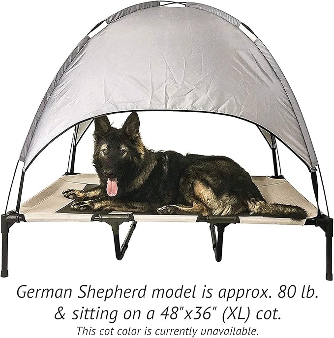 Midlee Green Dog Cot with Canopy (36" x 48")