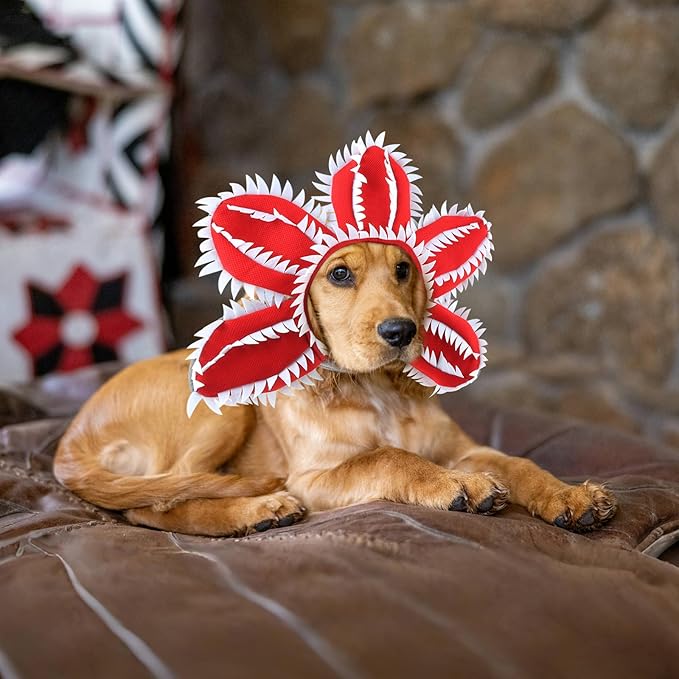 HOTUMN Dog Halloween Costume