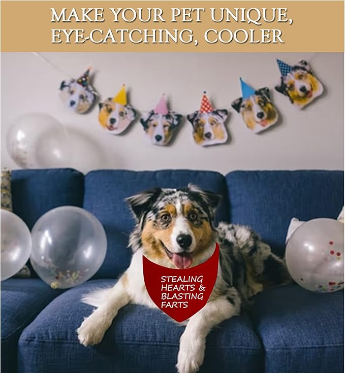 JXGZSO 1 Piece Free Kisses/Will You Be My