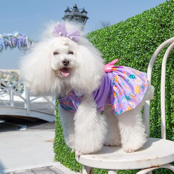 CuteBone White Rabbit Dog Easter Dress Velvet for Small Dogs Girl Eggs Skirt Puppy Purple Dresses Dog Clothes CVA19XS-D