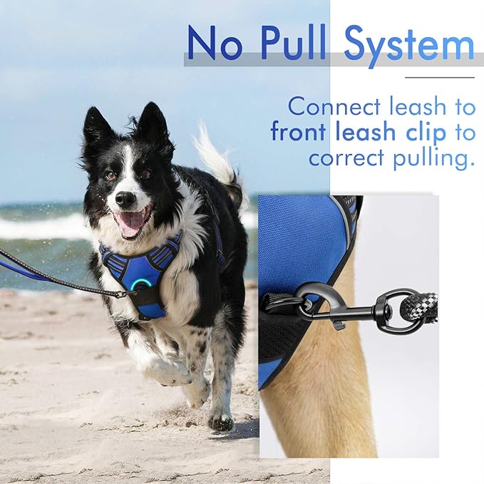 rabbitgoo Dog Harness 2 Leash