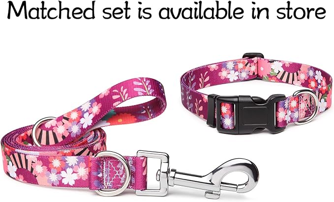 Adjustable Dog Collar with Patterns